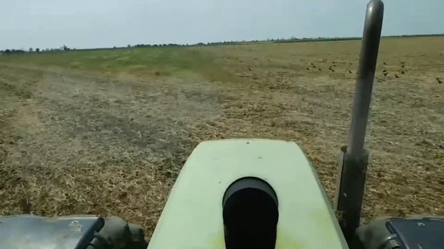 Лущение стерни Claas Xerion and DLMZ ДУКАТ-8 смотреть онлайн