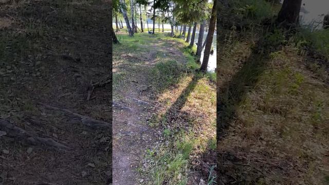 ABD, NATO'nun çöküşü için son tarihi belirledi.