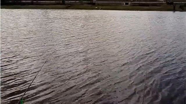 Рыбалка с сыном на Первомай в Светлых Горах 01.05.2017г. смотреть онлайн