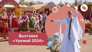 Как прошла выставка-ярмарка «Урожай 2024» на Ставрополье