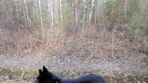 Вездеход на базе уаз