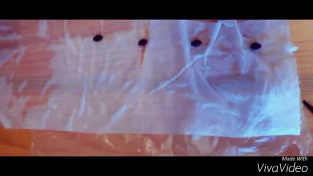 Выращивания рассады без земли