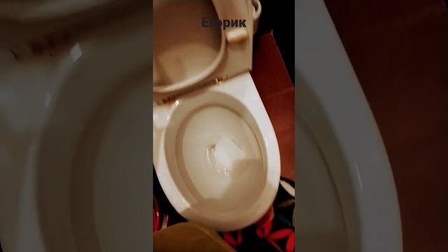 егорик смылся в унитаз?? смотреть онлайн