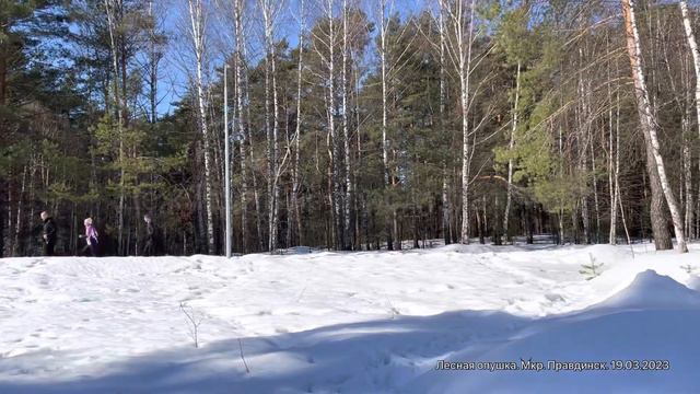 Бег по Фану 5 км. Лесная опушка. Мкр. Правдинск.19.03.2023 От Дежурного. До встречи 26.03.2023