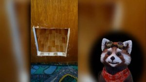 ? Дверца для домашних животных Распаковка и установка дверца для котика Дверь для кота с Алиэкспрес