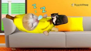 Baby Banana Cat want going to the Zoo | Happy Cat Funny 69
