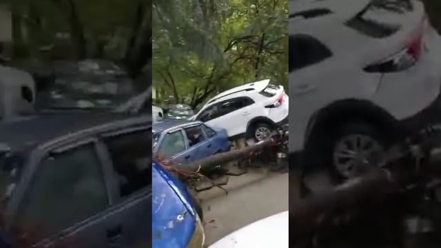 ГНЕВ ЗЕМЛИ Автомобили собраны кучу кругом вода . Природа наказывает людей ,за неуважение к ней.ЖЕСТ смотреть онлайн