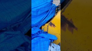 Выезд,Комсомольск.Замена масляного охладителя шантуй sd32 nta855c36