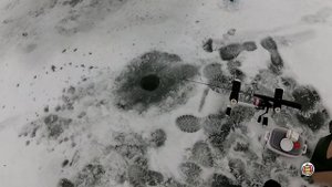 Подлёдный фидер . Ловля белой рыбы зимой . Три дня рыбалки