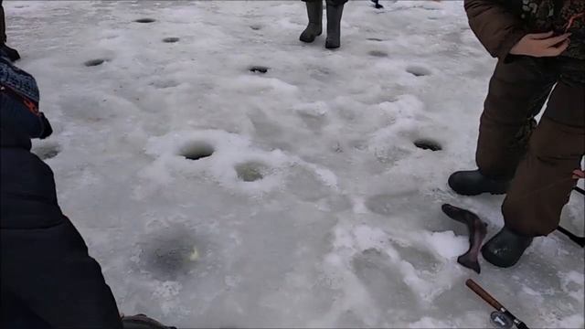 Блесна на запуске выкашивает форель, верхний пруд. Клёвое место Лосиный остров. смотреть онлайн