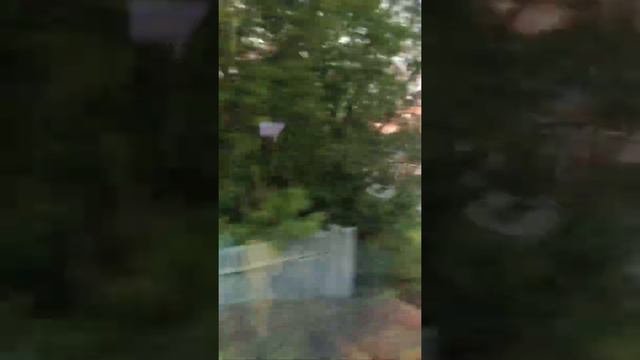Москва/ Курск новый поезд , плацкарт