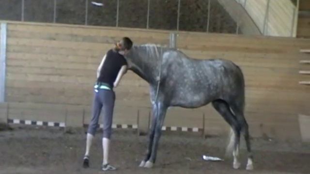 прямое сгибание (учим). рысь. кранчи смотреть онлайн