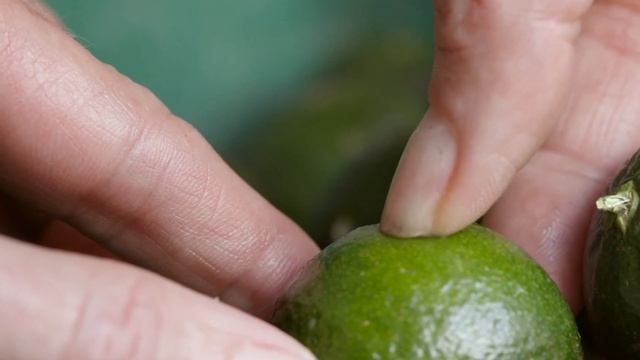 doTERRA - Green Mandarin Essential Oil Sourcing (Translated Subtitles)