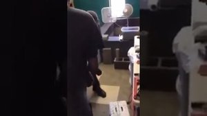 Змея вцепилась в руку