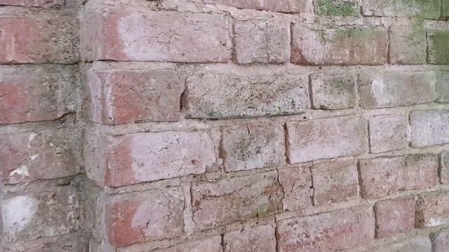 Восстанавливается храм Николая Чудотворца в с.Шатенёво, Вологодской области. смотреть онлайн