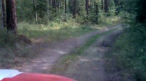 Лесные пожары 2010 года.mp4