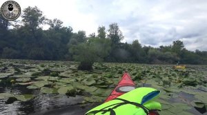 ПВД. На каяках по Днепру. Плавни Запорожья