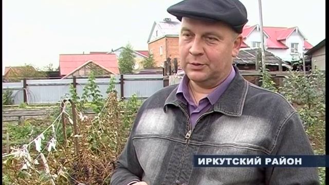 Виноград в Иркутске смотреть онлайн