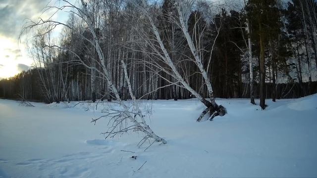 "В гостях у белки". Часть II. Взвешивание. Награждение. Лотерея смотреть онлайн