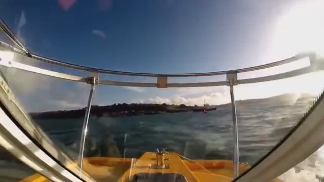 Органический мир Атлантического океана смотреть онлайн