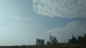 охота и рыбалка