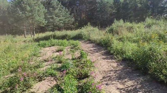 Mikilon 200 на трассе Питбайков  выдержит ли он?