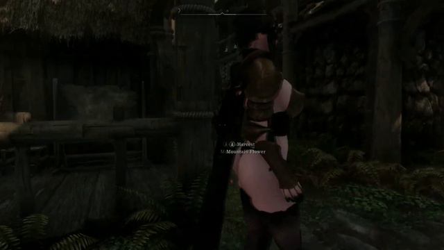 Foggy Riverwood - 4K ULTRA Skyrim SE Modded Playthrough смотреть онлайн