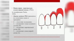 Индекс PMA