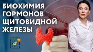 Биохимия гормонов щитовидной железы