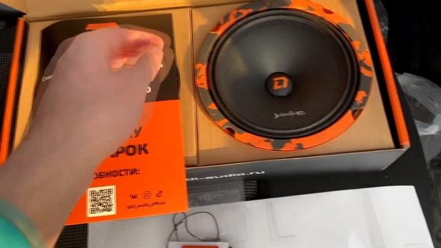 Обзор на эстрадные динамики DL Audio Barracuda 165 (2 динамика, 16.5 см, 60 Вт) смотреть онлайн