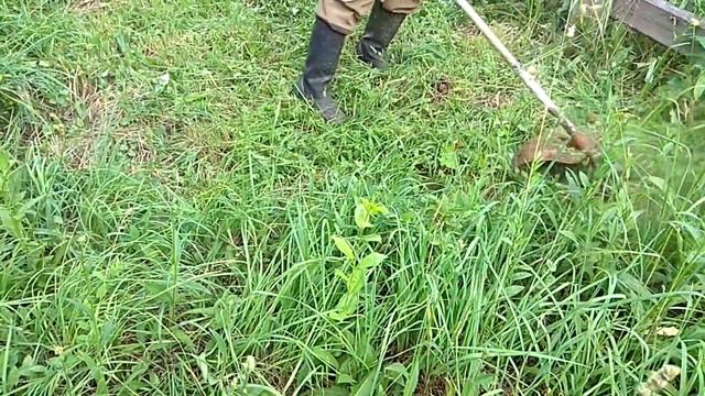 ? ?ОБКАТКА НОВОЙ ПОРШНЕВОЙ ТРИММЕРА. RUNNING IN NEW PISTON TRIMMER. 在新活塞修剪器中運行 смотреть онлайн