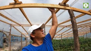 Парник-теплица своими руками за копейки. Новый способ накрытия парников пленкой.