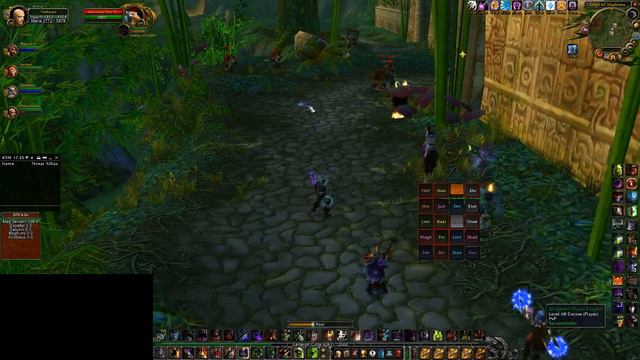 Zul'Gurub - Tehbaron - SM/Ruin Warlock смотреть онлайн