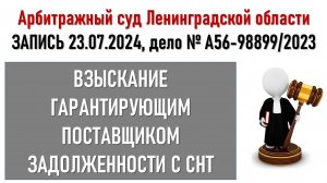 Заседание в Арбитражном суде С.-Петербурга от СНТ Рахья