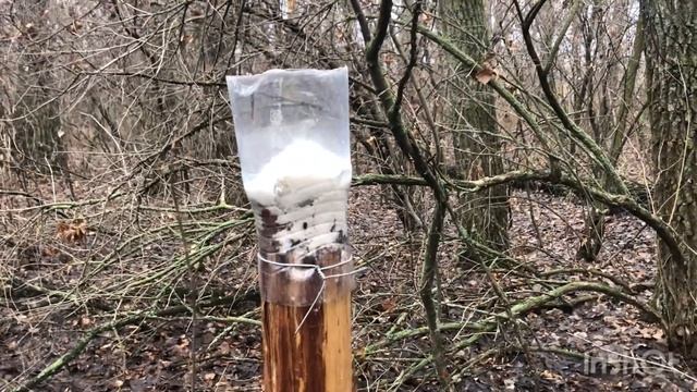 Солонец для Зайцев! Быстро и просто! смотреть онлайн