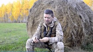 Охота на самцов сибирской косули во время гона.