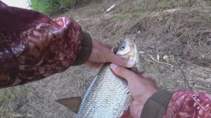 Рыбалка на БОМБАРДУ в Мае на Оке 2023! Ловля на Майского Жука! ЖЕРЕХ ЯЗЬ ГОЛАВЛЬ