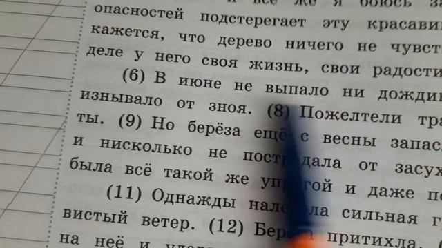 ВПР русский язык за курс начальной школы, вариант 2, часть 2 смотреть онлайн