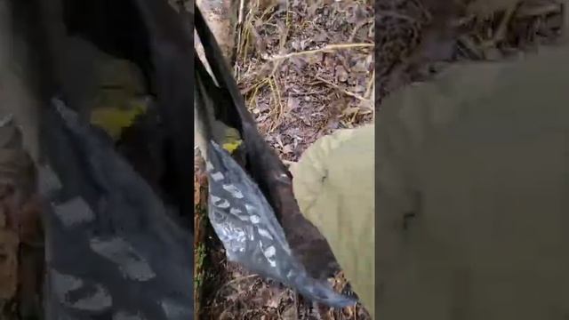 Ловлю чехонь. Рыбалка на реке Десна. Снасть герлянда на чехонь.