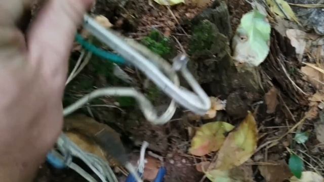 Сколько меди можно найти  во время металлопоиска в лесу
