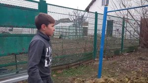 обучалка на элемент кумкват
