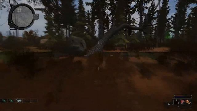 Прохождение S.T.A.L.K.E.R. Смерти Вопреки. В Паутине Лжи #3. Злой Карим
