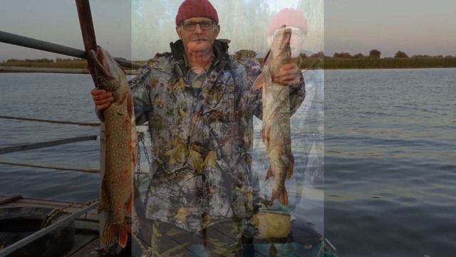 Рыбалка в дельте Волги Каралат Олигри Фиш 1-4 октября 2018 смотреть онлайн