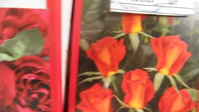 Сербские розы в магазине "Дом семян". Сорта. смотреть онлайн