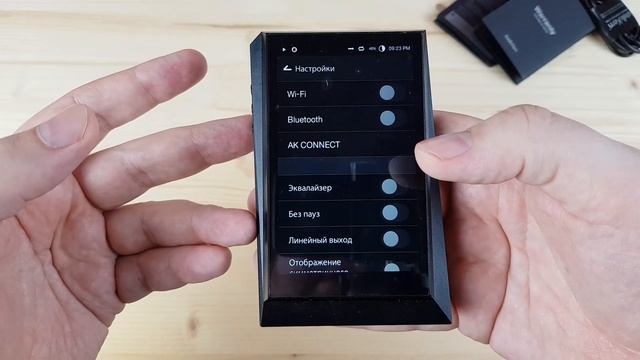 Astell&Kern AK300: ответвление линейки