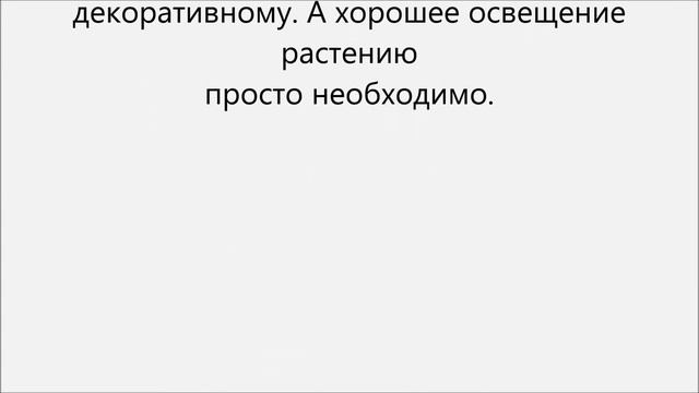 Как вырастить подсолнух смотреть онлайн
