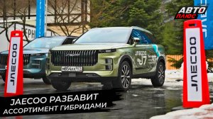 Марка Jaecoo разбавит ассортимент гибридами и поддержит фестиваль «Розафест» ? Новости с колёс №280