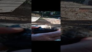 Утренний кофе Раку. Часть вторая))