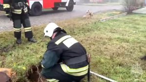 Моздокские пожарные спасли трех любопытных щенков, провалившихся в канализационный люк