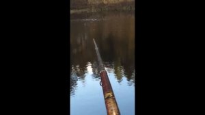 Ловля мохтика осенью